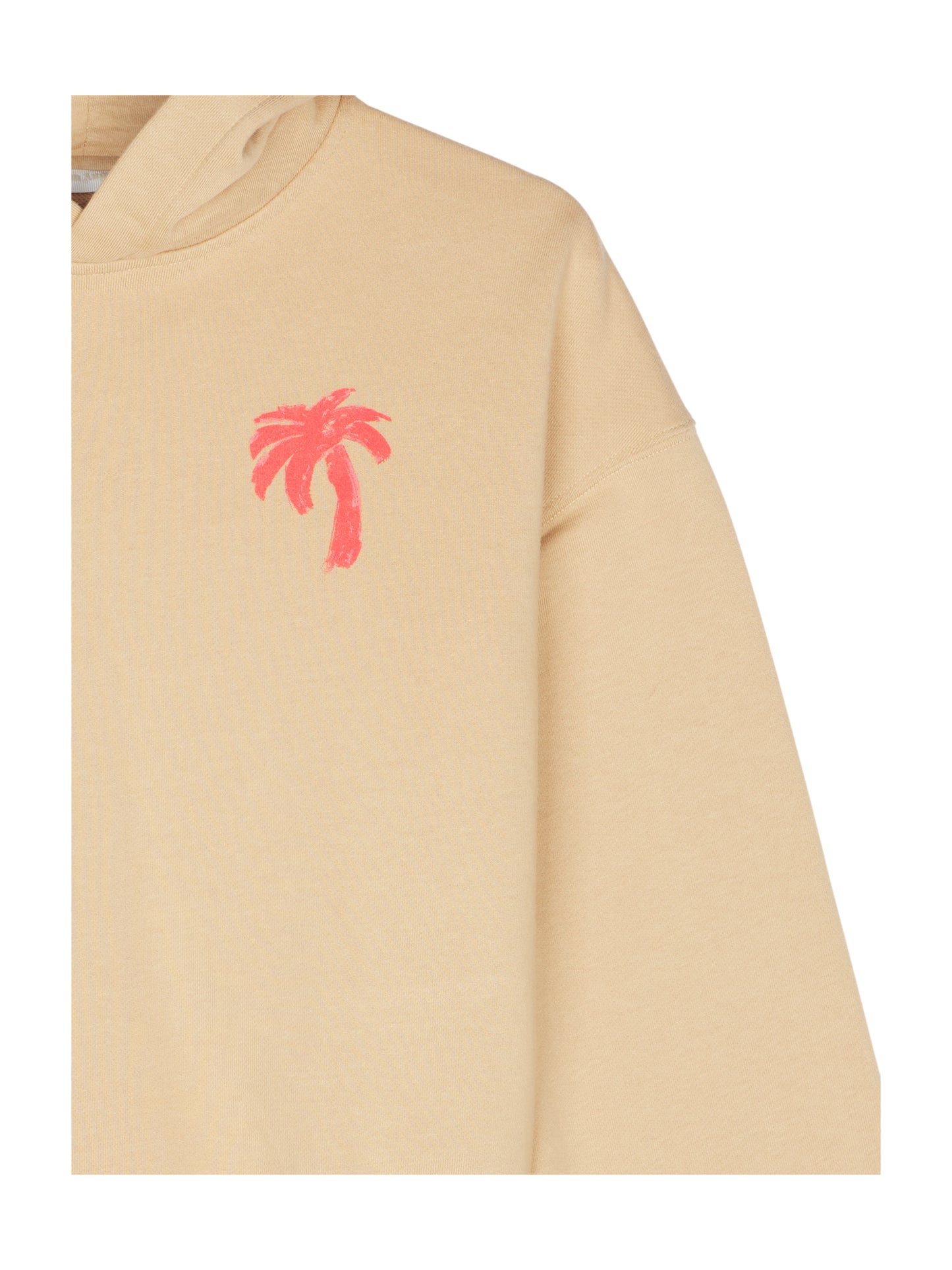 Palm Angels Pullover Hoodie Kapuzenpullover