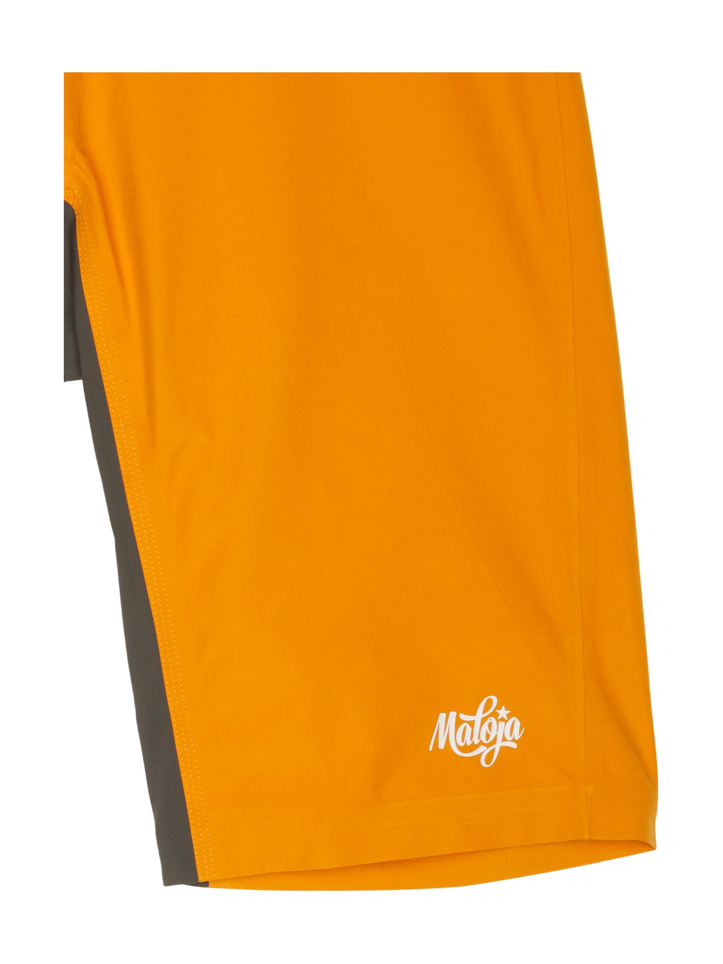JanisM.Snow High Tech Shorts