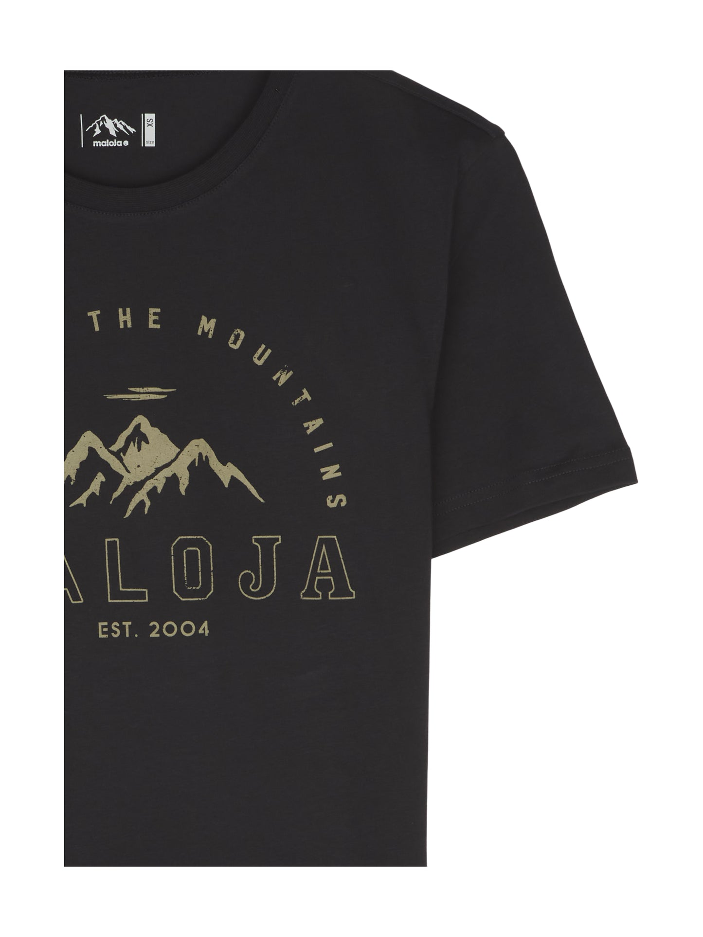 LENZERM. Organic Cotton Tee