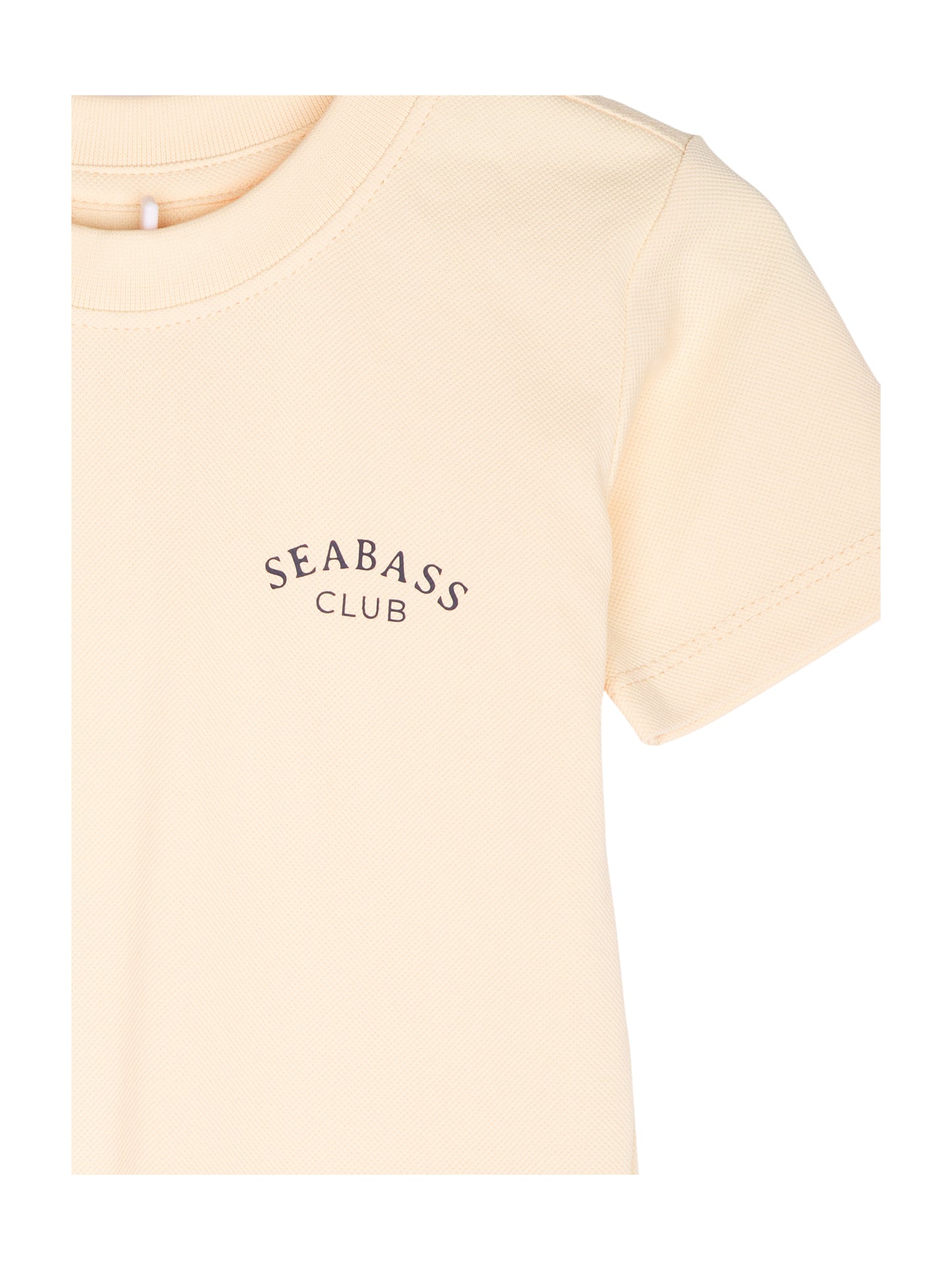 SEABASS T-Shirt Logo