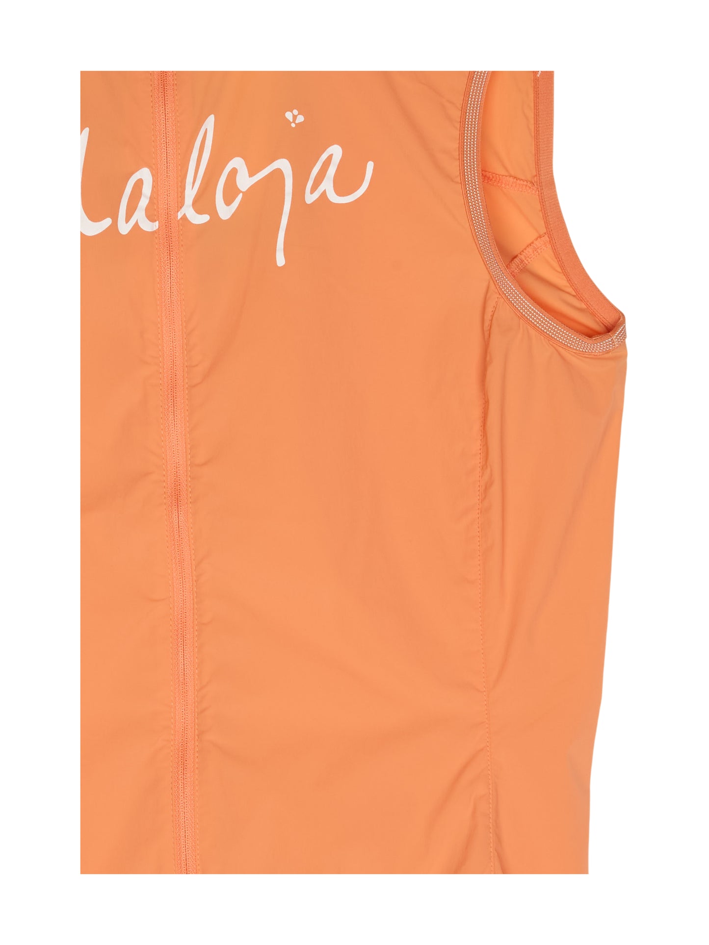 ADLERFARNM. VEST Superlight WB Vest