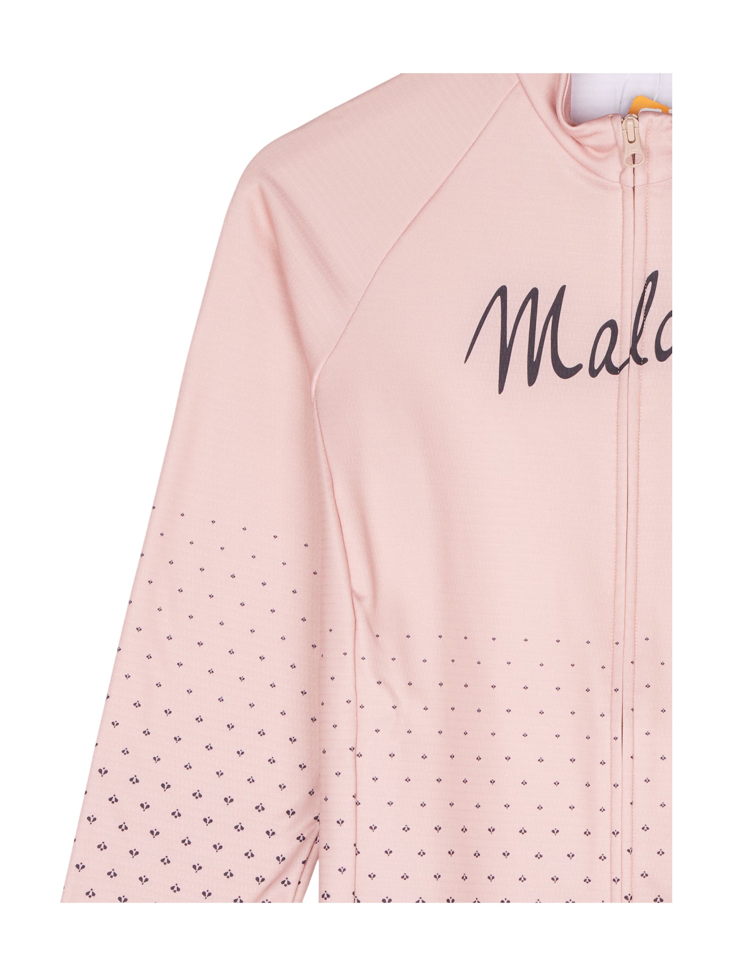 HASLMAUSM. 1/1 Long Sleeve Bike Jersey