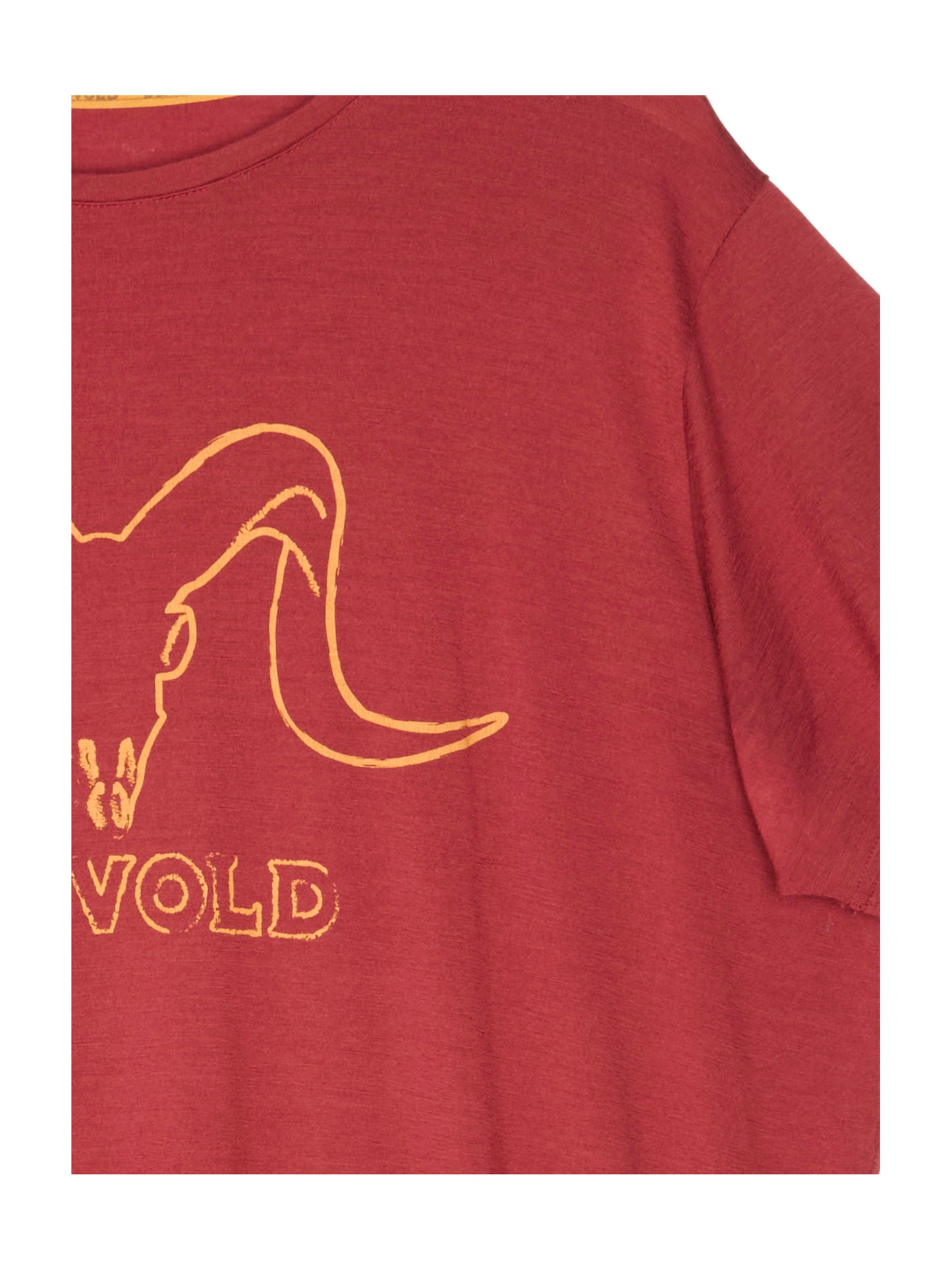 Devold T-Shirt für Herren